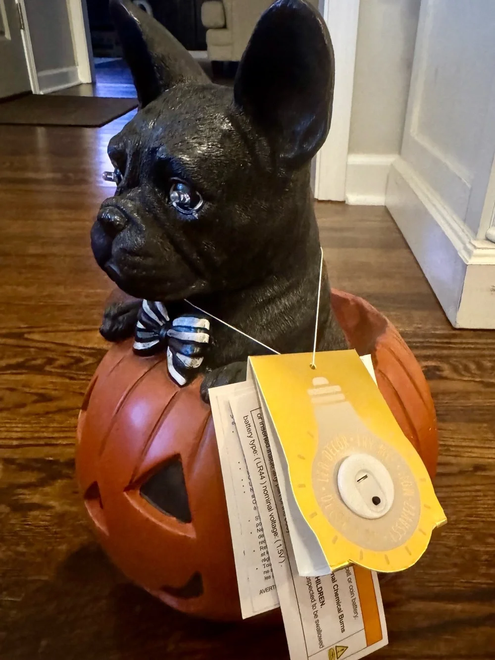 French Bulldog charming black